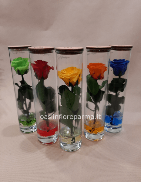Rosa stabilizzata in vetro