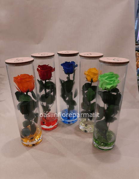 Rosa stabilizzata in vetro grande 